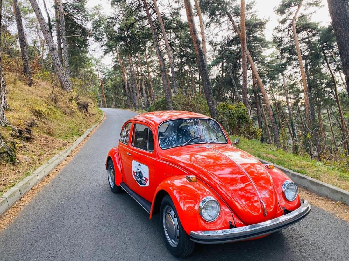 Vila Old Cars Cristian  Buitenkant foto
